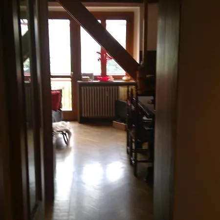 Cosy Chacha * Бардонеккия